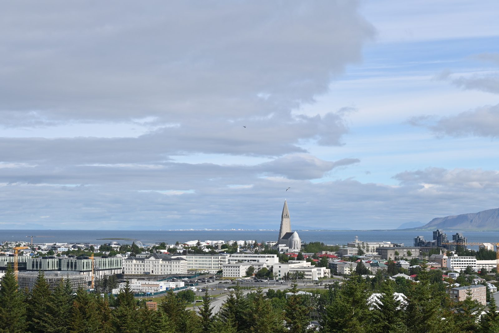 DSC_8139.JPG